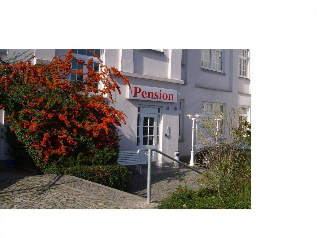 Pension An Der Weisseritz Дрезден Экстерьер фото